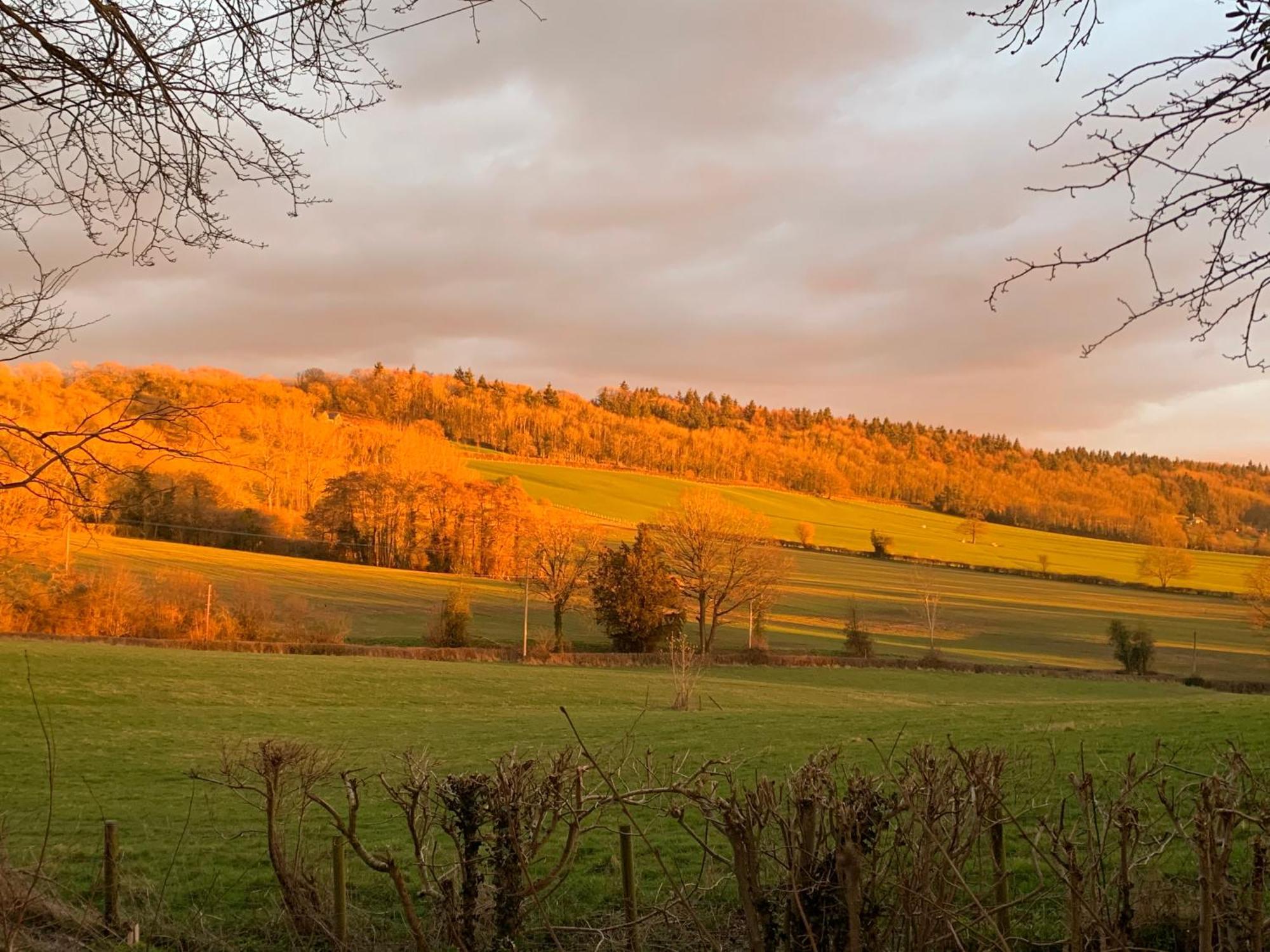 Hedgehog Lodge Colwall Zewnętrze zdjęcie